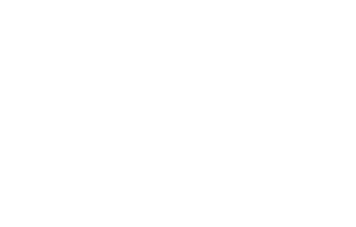 Ursa space logo